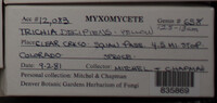 Image Associated With the Occurence